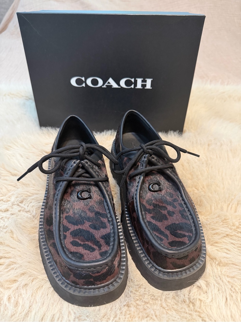 COACH Women's Sculpted C Chukka Boot in Leopard Print Size 39 (8.5US)